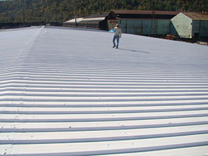 commercial roofing companies auburn in