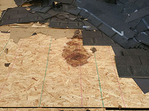 hail damaged roof winona lake indiana