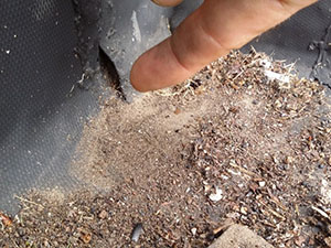 rubber roof repair warsaw in