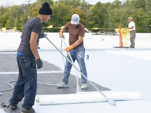 Roofing Services Albion IN Indiana 1