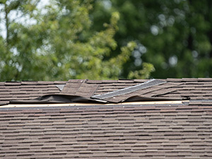 Roof Damage Albion IN Indiana 1