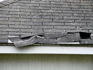 Roof Damage Garrett IN Indiana 2