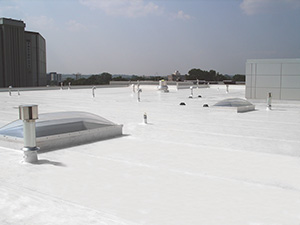 Single-Ply Roofing